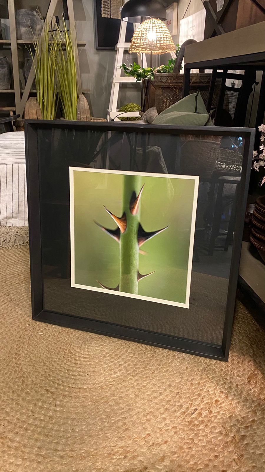 Cuadro fotografía verde 3