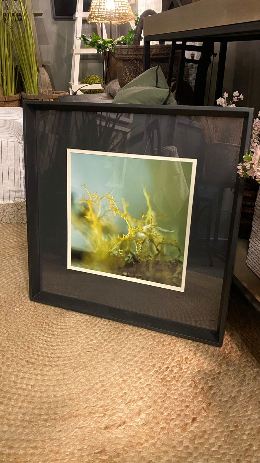 Cuadro fotografía verde 6