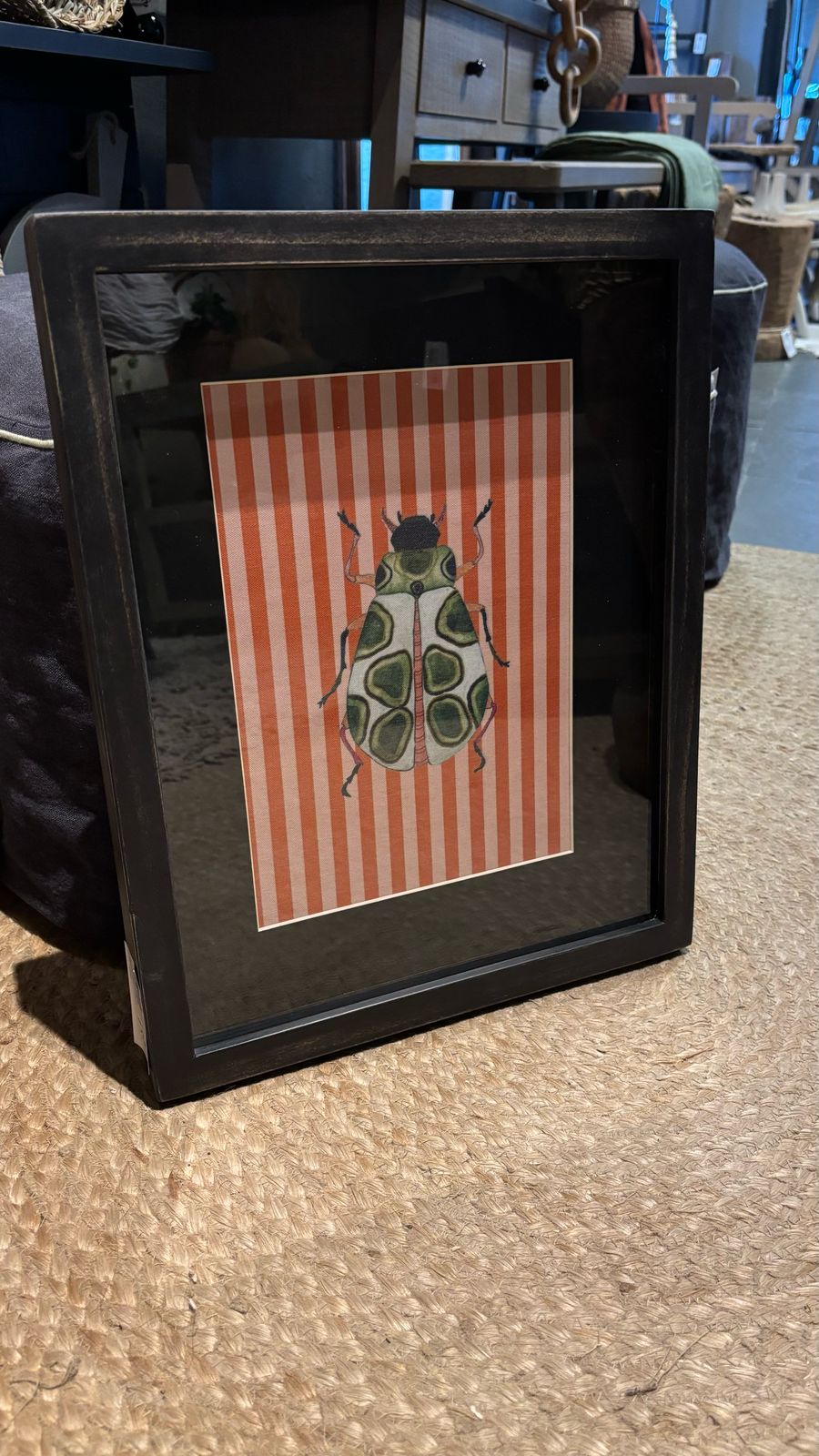 Cuadro insecto marco pátina negra diseño 1