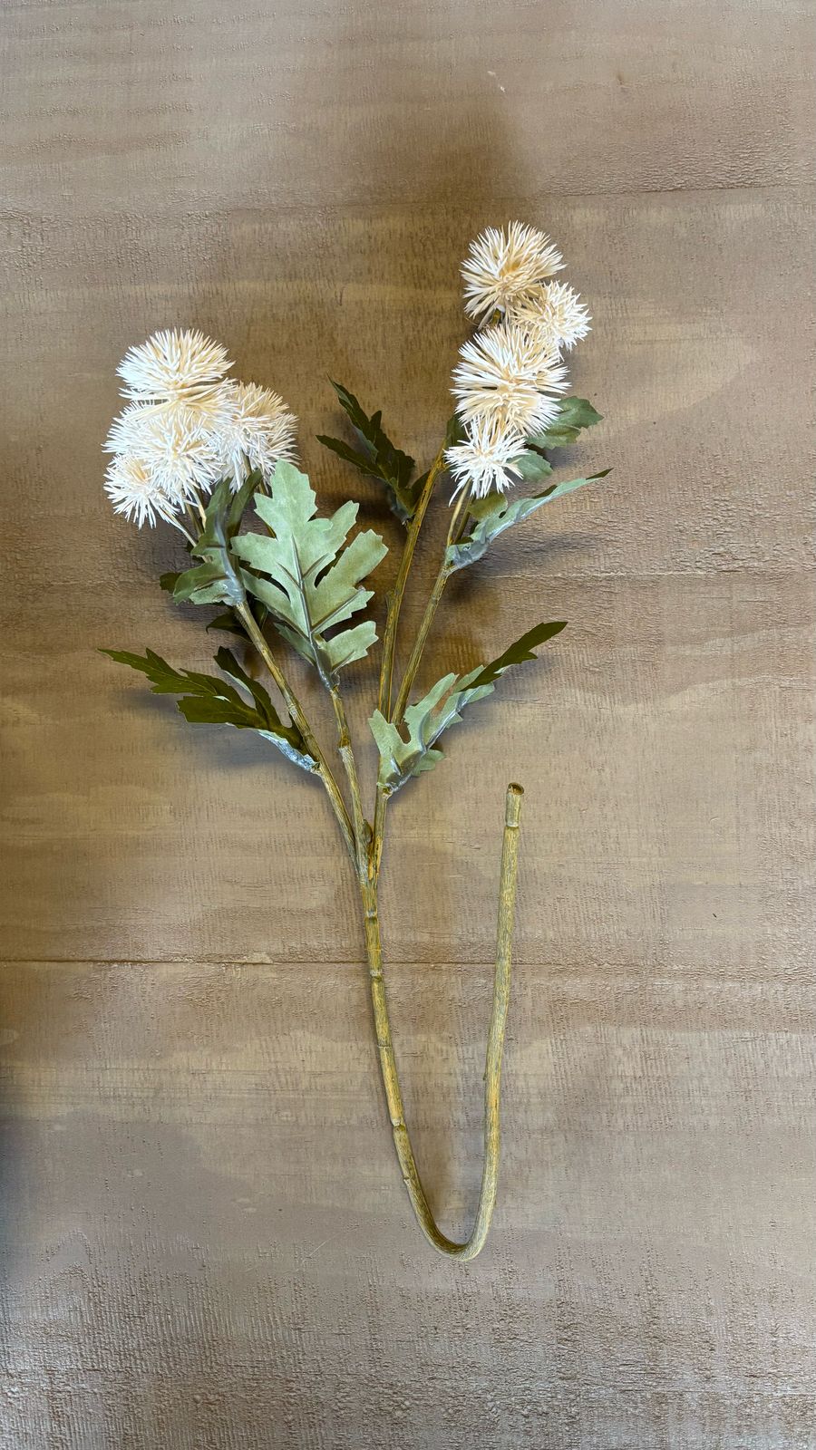 Vara de cardos blanco