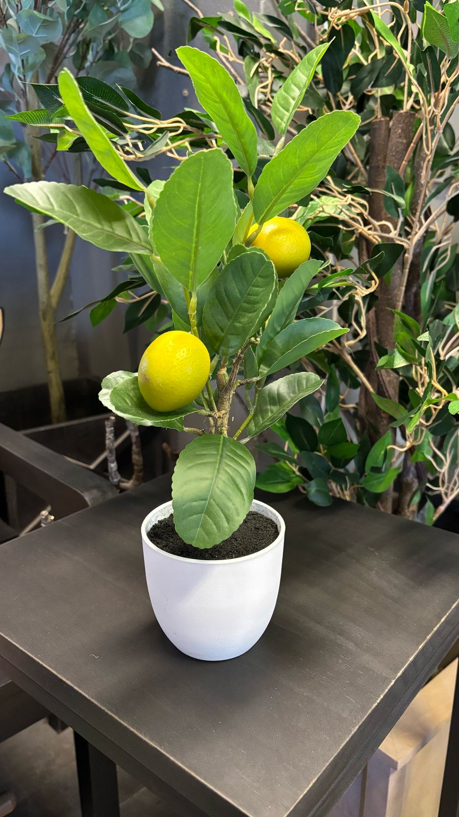 Planta con maceta limón