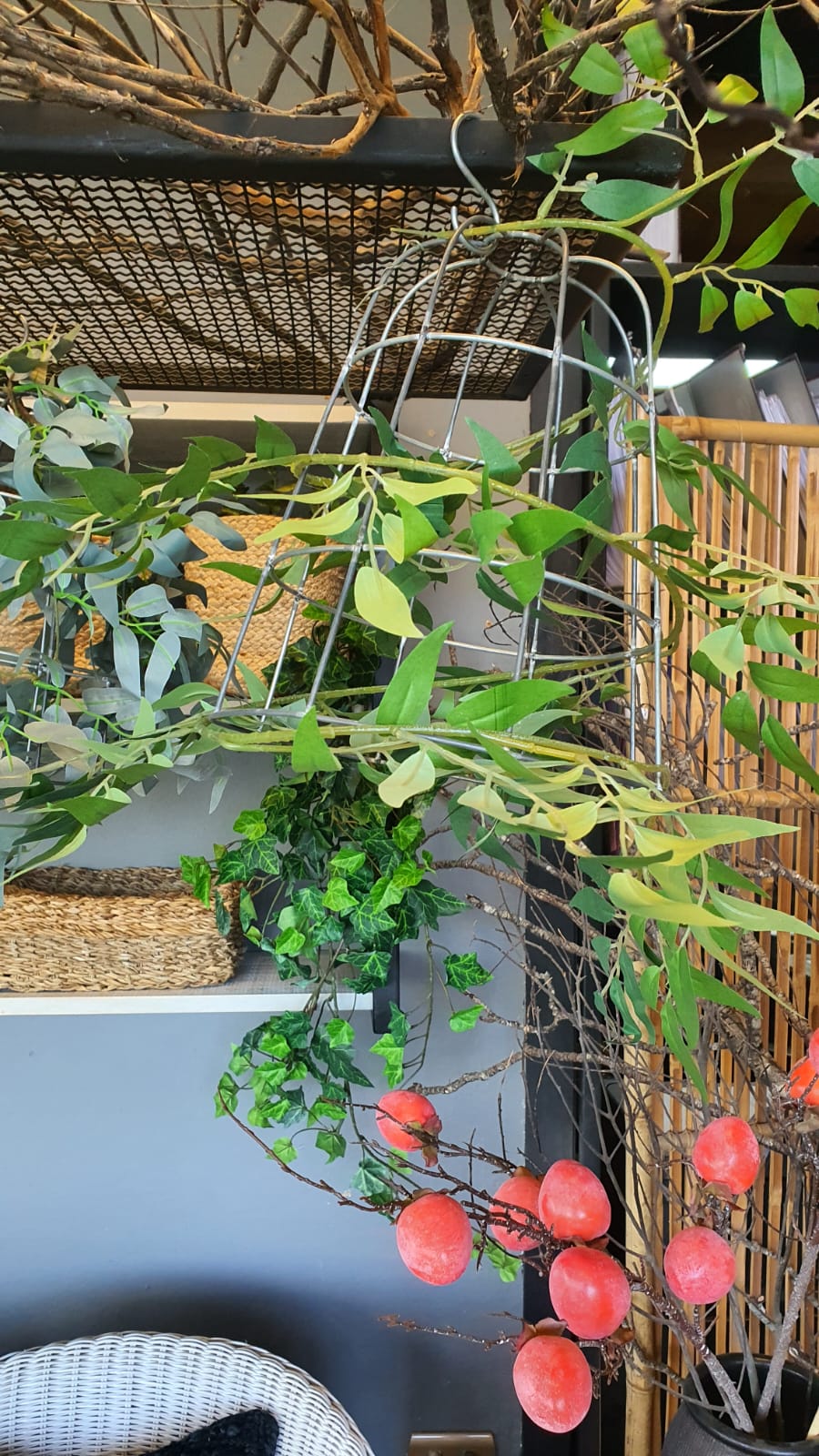 Cúpula enredadera diseño 1