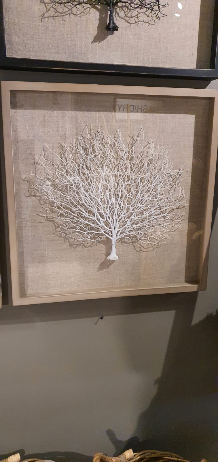 Cuadro Coral — Blanco 63x58