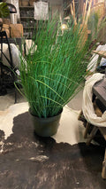 Grass Verde - Tamaño Grande 30x107