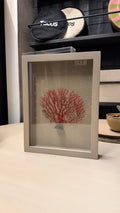 Cuadro Coral - Fondo de Lino Natural Rojo Tamaño Extra Chico 27x35
