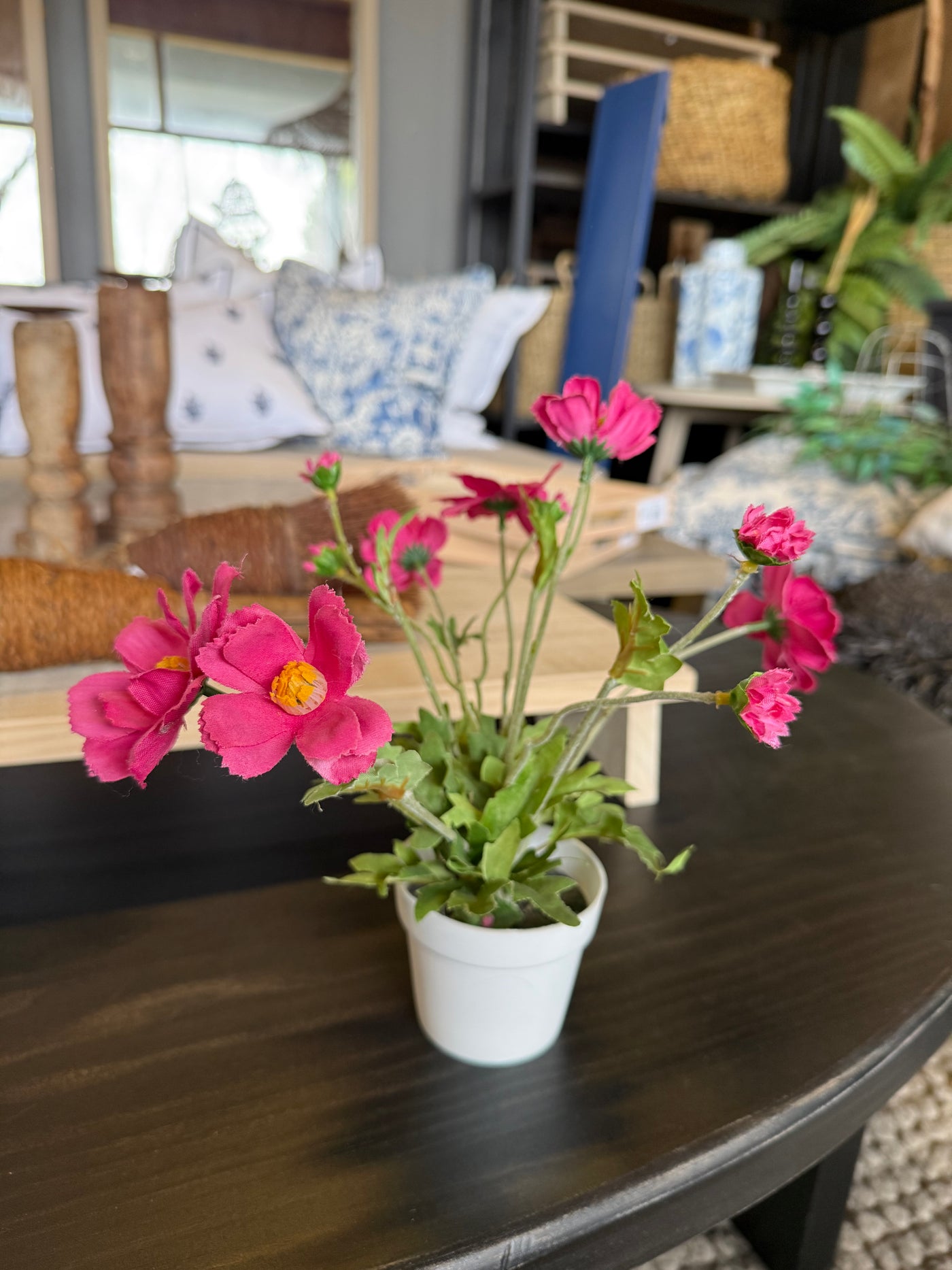 Flor en Maceta — Plástico Fucsia 8x28