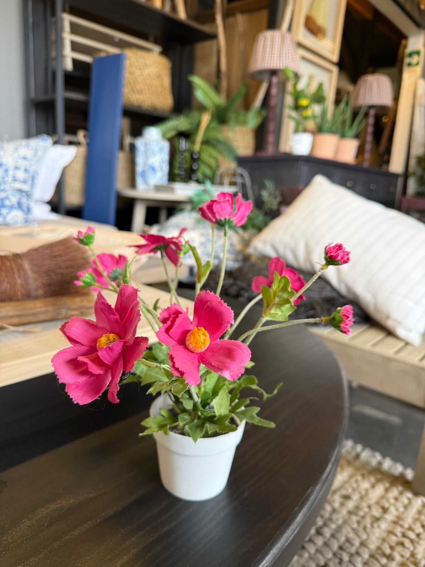 Flor en Maceta — Plástico Fucsia 8x28