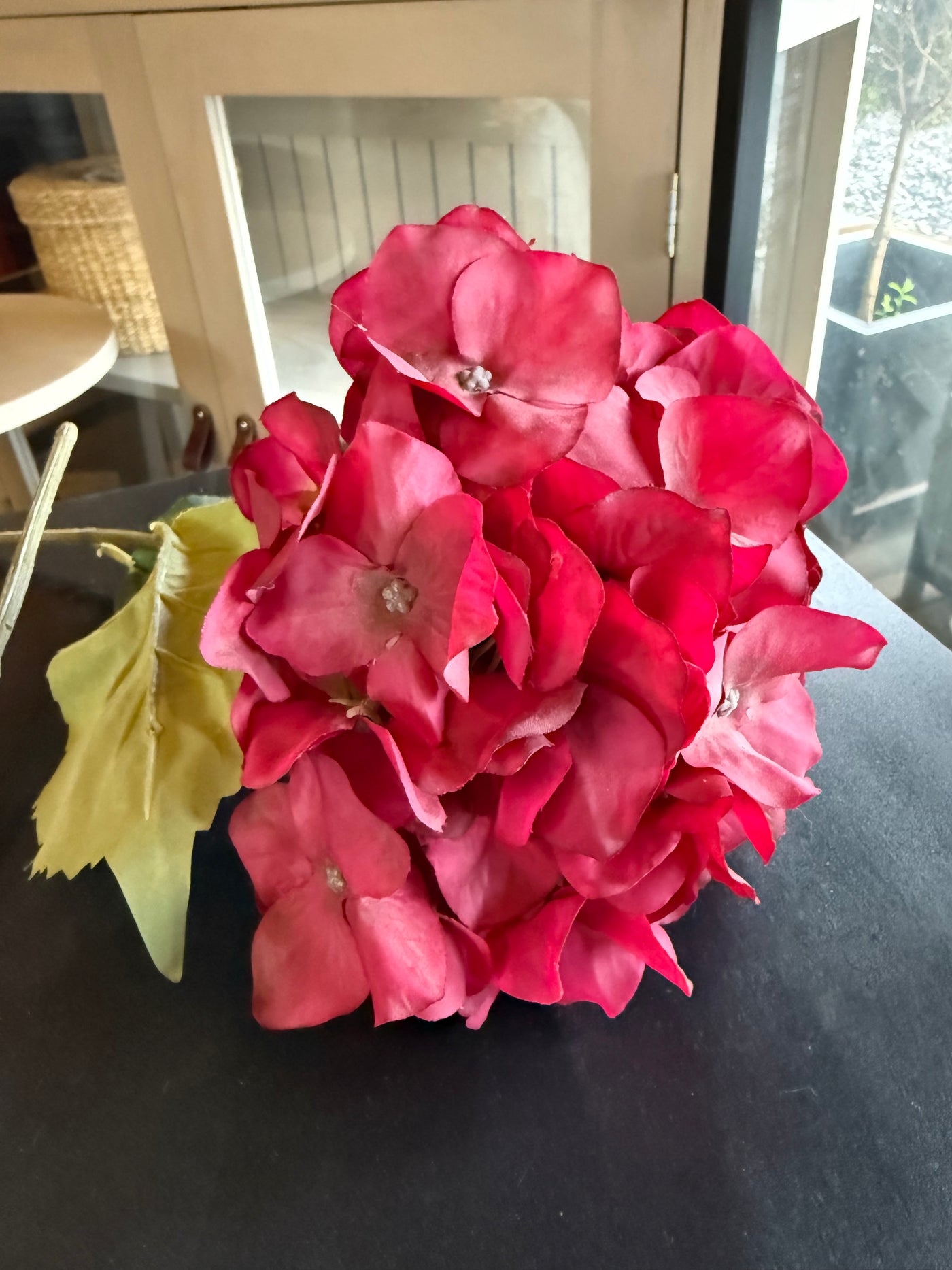 Hortensia — Fucsia 15x78