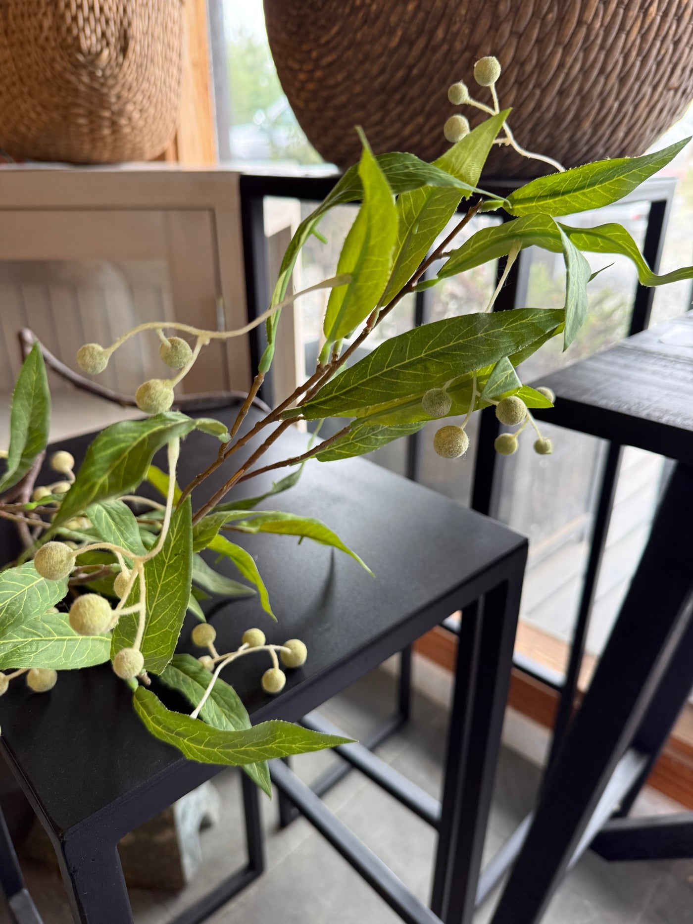 Rama de Hoja de Olivo — 17x4x95