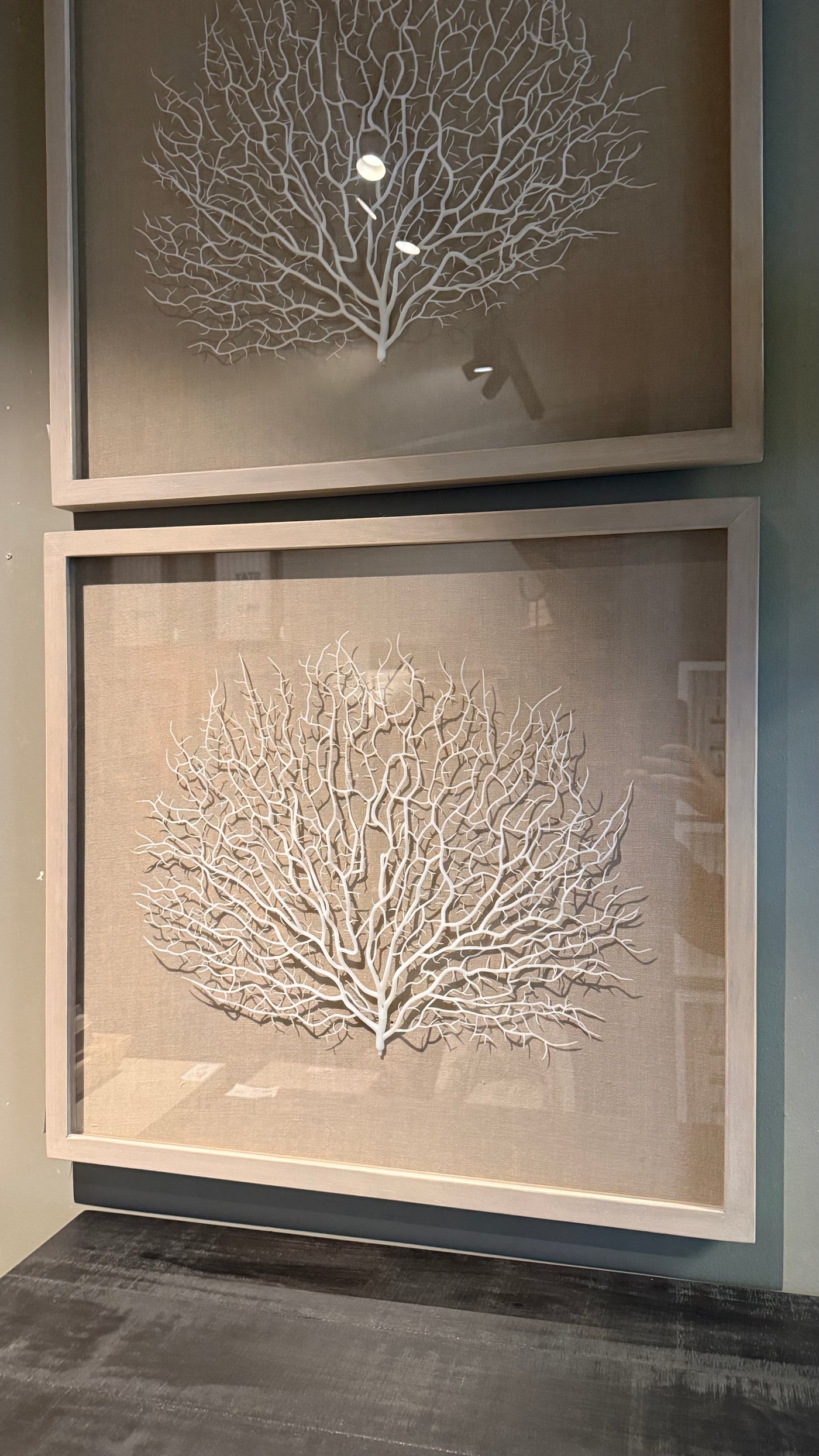 Cuadro Coral — Blanco 63x58