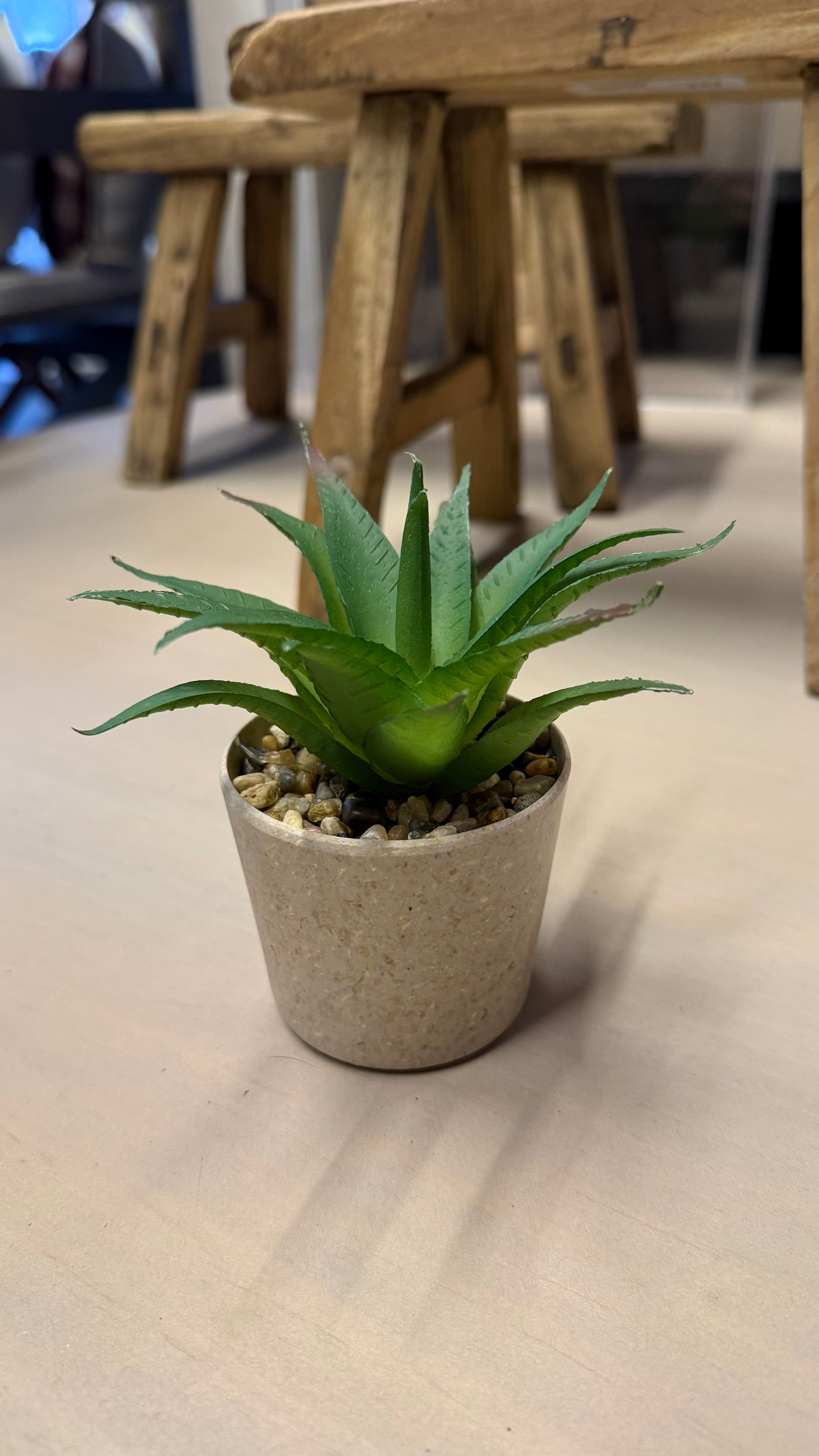 Suculenta xs — Artificial 13x13x12