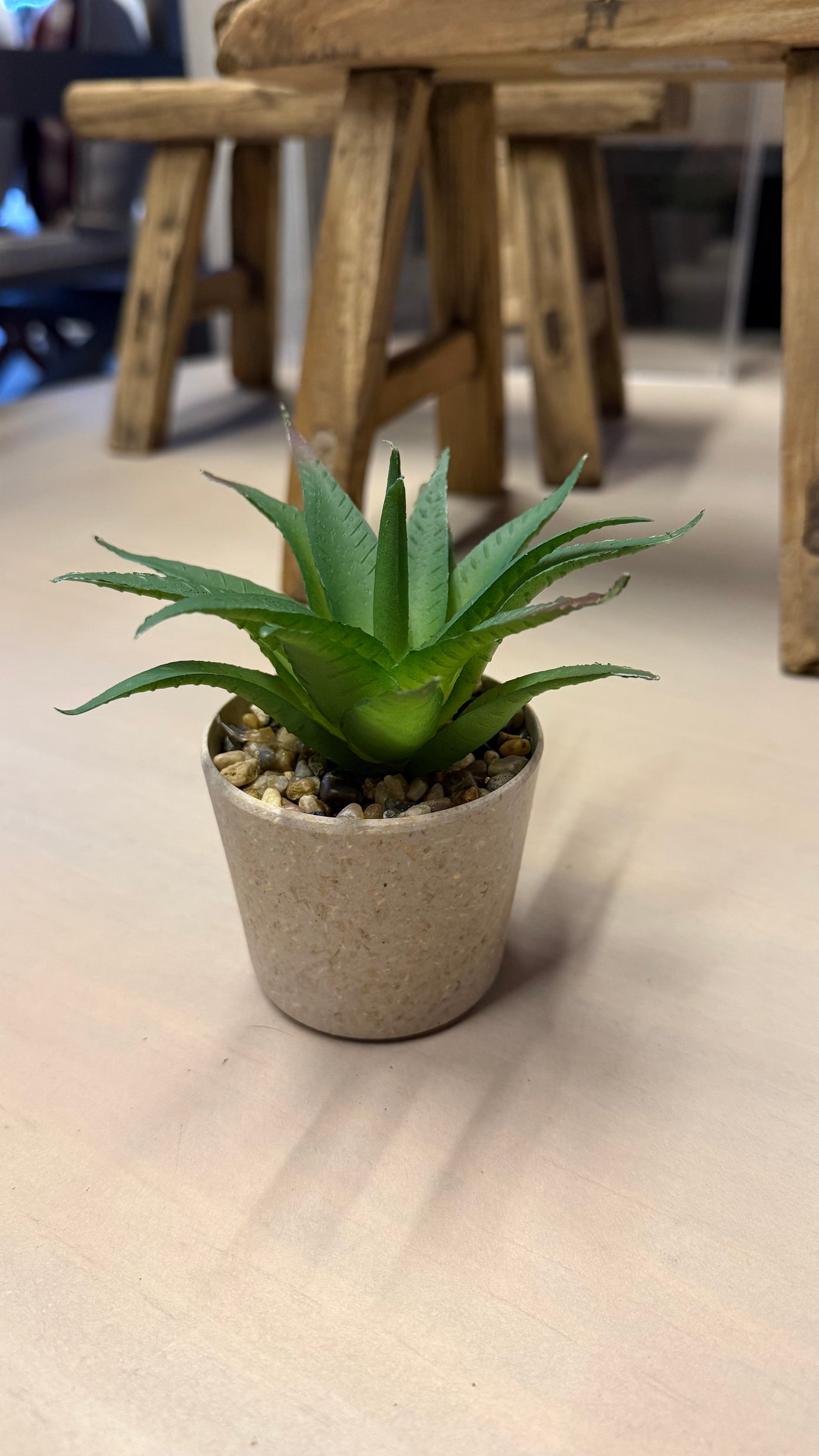 Suculenta xs — Artificial 13x13x12