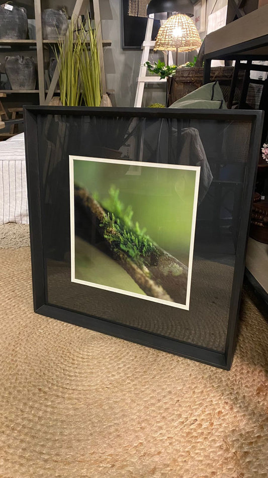 Cuadro fotografía verde 1