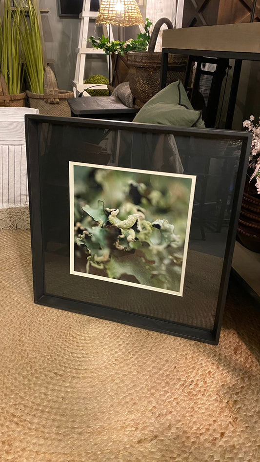 Cuadro fotografía verde 4