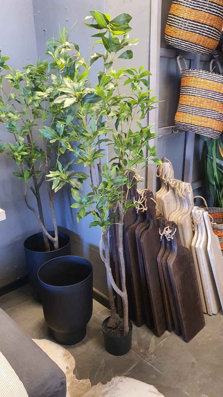 Arbol 155 cm