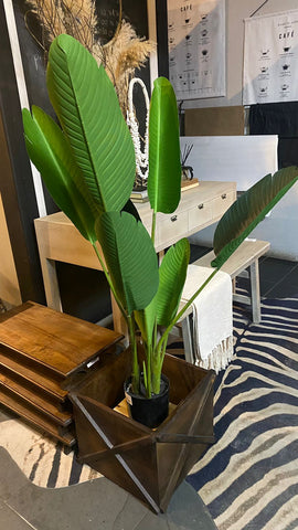 Planta bird 120 cm