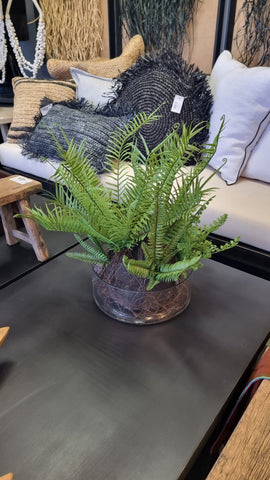 Planta mix macetero vidrio