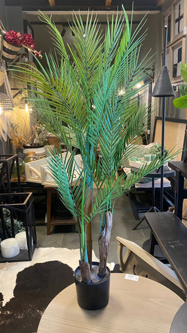 Palmera 110 cm