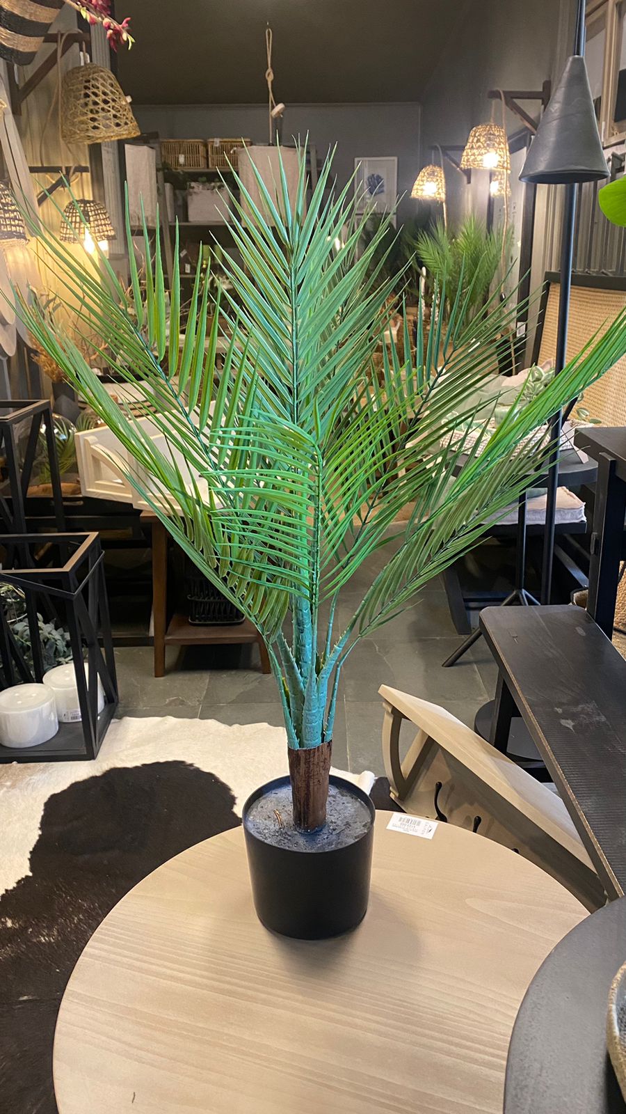 Palmera 80 cm