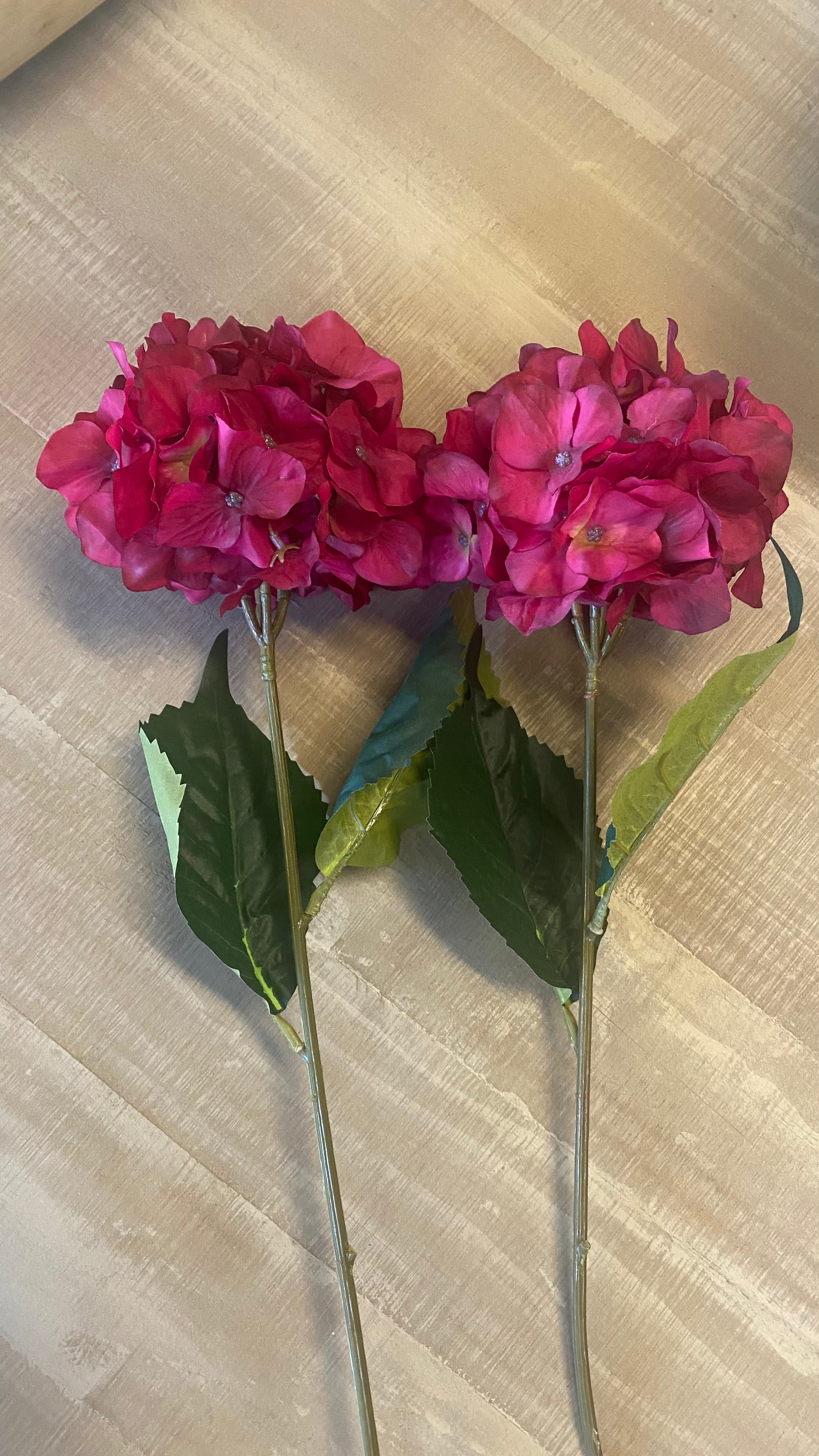 Hortensia fucsia 78 cm