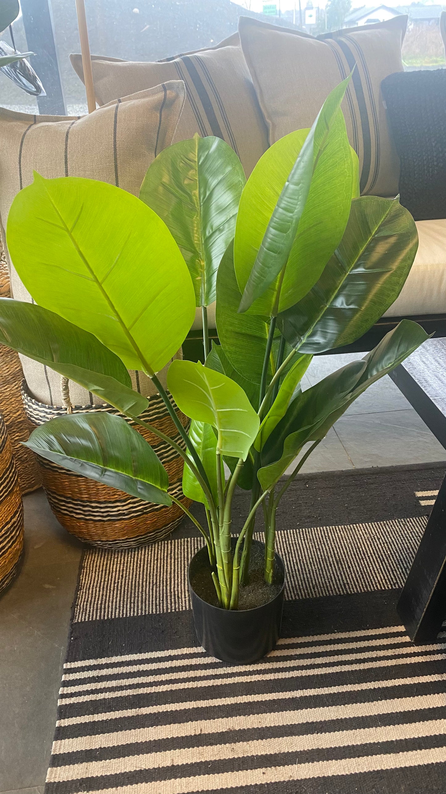 Planta bird 80 cm