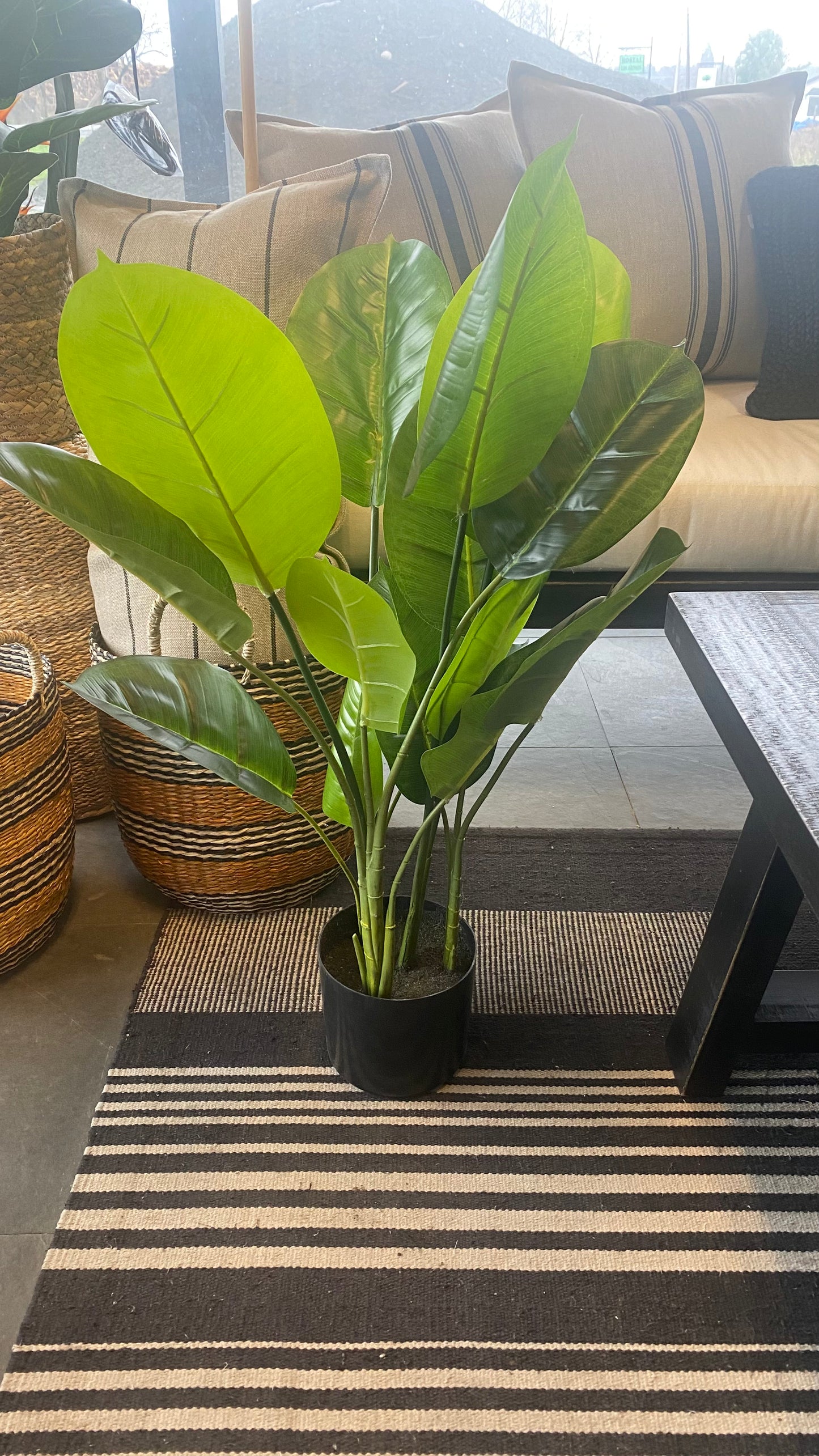 Planta bird 80 cm